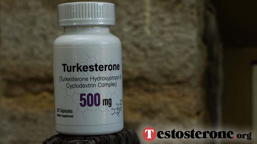 What is Turkesterone