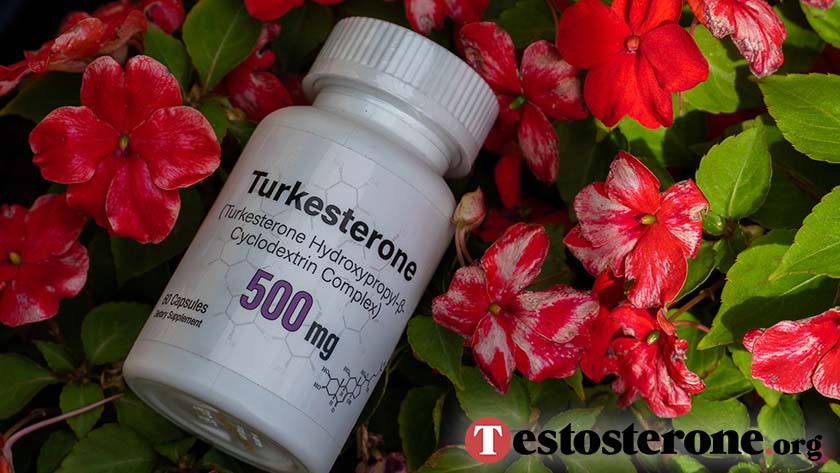 Turkesterone Natural