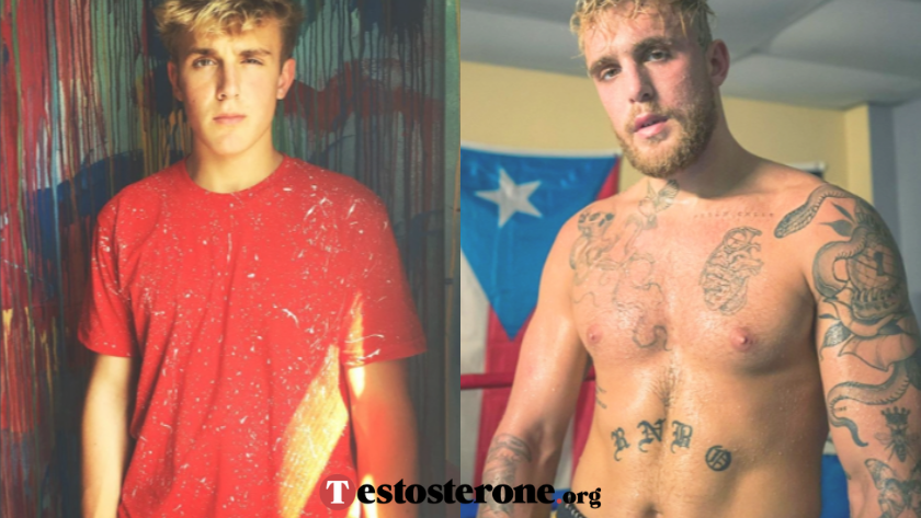 Jake Paul steroids before and after