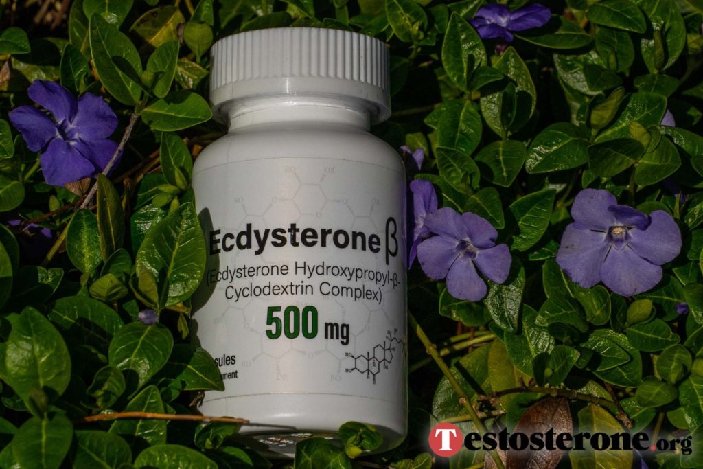 Where to buy Ecdysterone uk